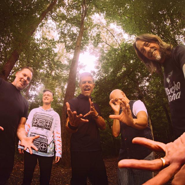 311 and Dirty Heads Austin