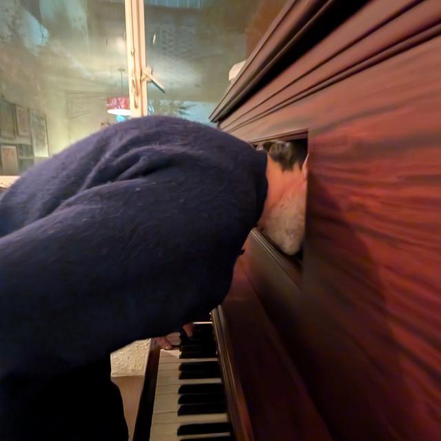 Patrick Watson Roma